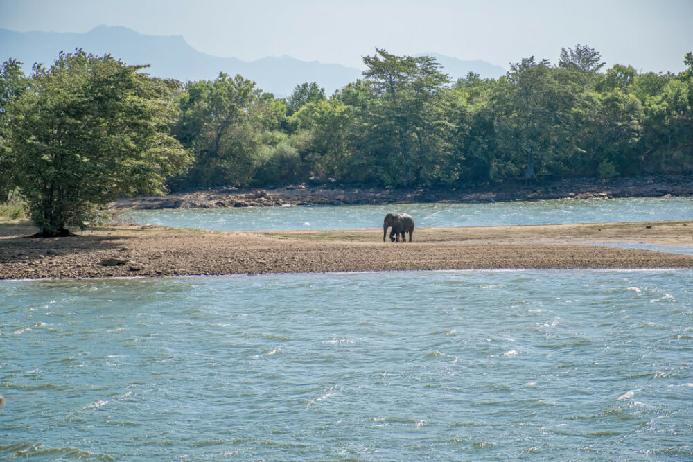 Parc d'éléphants d'Udawalawe