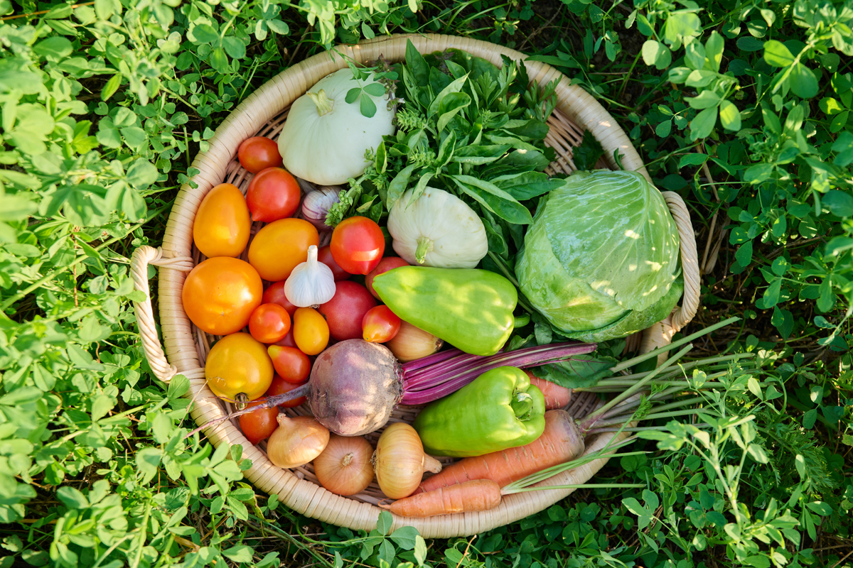 aliments riches en acide folique sans lait