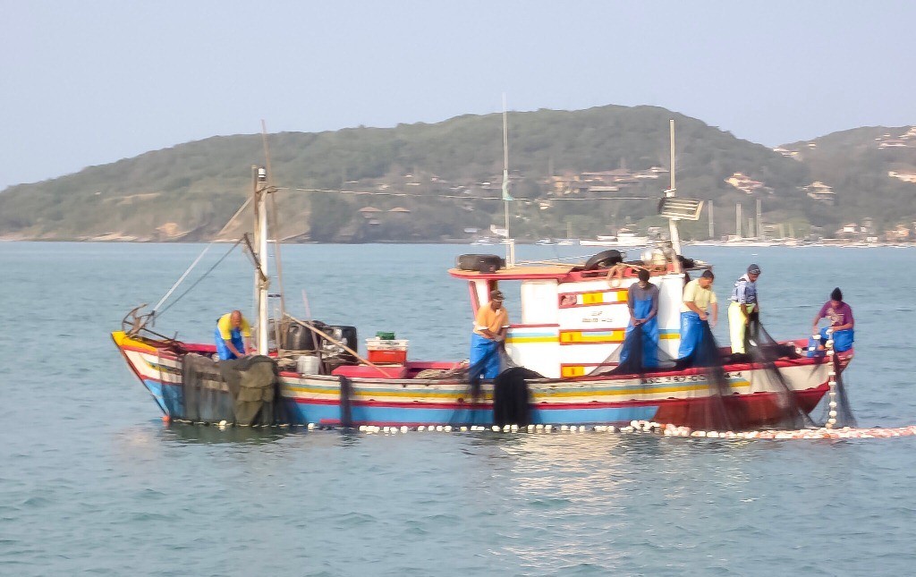 bateaux de pêche commerciale